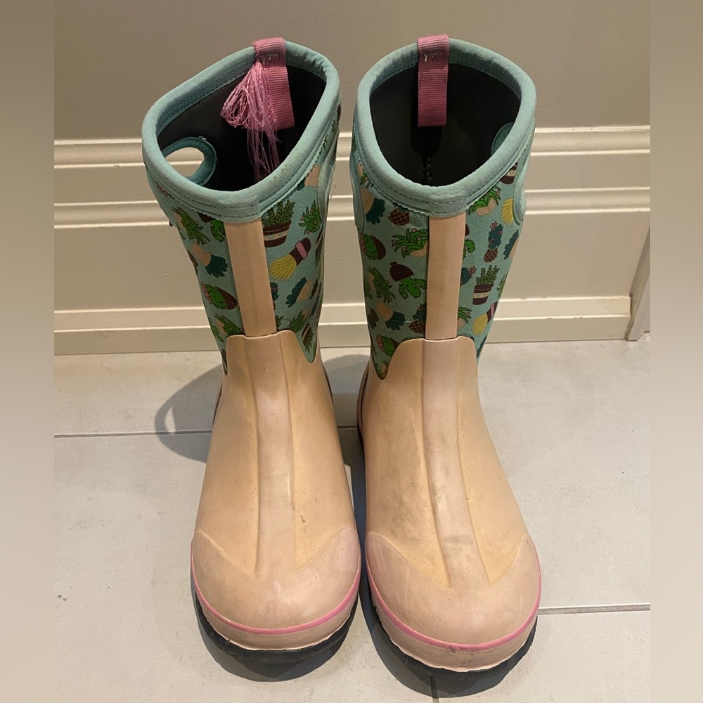 Winter Bogs